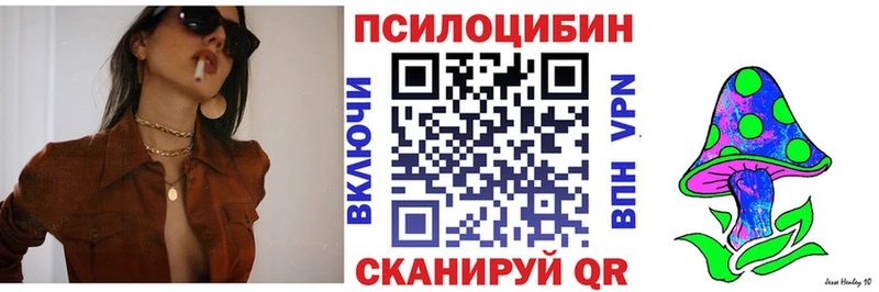Псилоцибиновые грибы Psilocybine cubensis  Советский 
